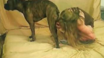 Wild-haired blonde getting ravaged by a kinky dog