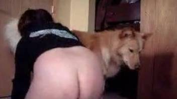 Fat ass milf tries dog dick in insane home video