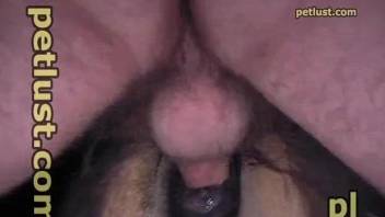 Insane anal zoo scenes with a man and his horse