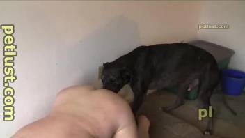 Slutty dude with a big butt gets fucked by a pooch