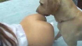 Amazing Asian slut fucked by doggy in the missionary pose