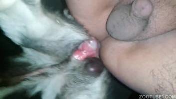 Rear entry pounding with a rigid rosy shaft aggressively penetrates a deviant guy