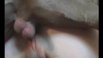 Smiling young chick likes when dog fucks her tight hole