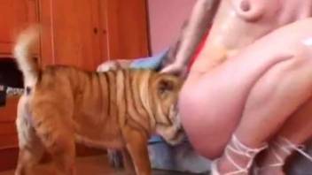 Animal porn with adorable blonde babe and her doggy