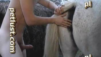 Man deep fucks the horse and cums on its fur and tail