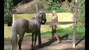 3D Asian whore hardly banged by pony in the abandoned barn