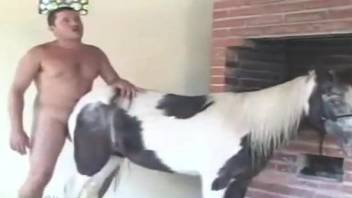 Man goes wild on horse's pussy and ass in sexual XXX play