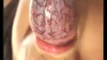 Ginger babe gambles on pussy rip to screw a massive-cocked mutt