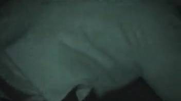 Late-night beastly intense romp involving a guy and his steed