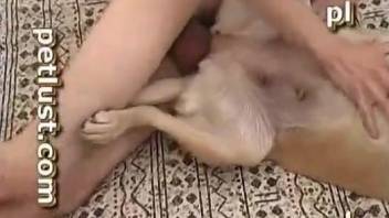 Adorable doggy and horny zoophile lover fuck in the bedroom