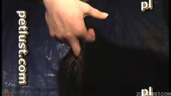 Naked aroused dude butt-fucks a cow and pumps it full of cum