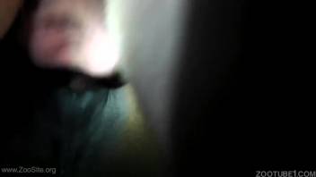 Guy records a close-up video of himself having anal sex with animals