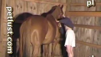 Horny dude sticks whole penis in horse's tight holes