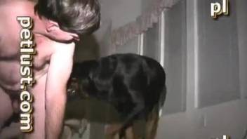 Black dog ass humps master and cums in him