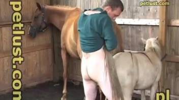 Horny man fucks the horse and then enjoys releases sperm