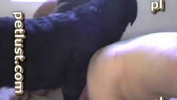 Dude is lying under his dog and sucking a dick with love