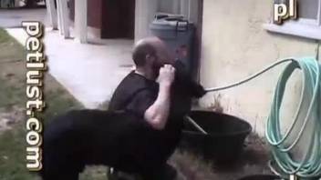 Black doggy nailed a horny owner in ass to ass pose