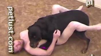 Dog fucks man in the ass and cums on his mouth