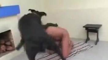 Sexy milf ends up having wild sex with her great hound