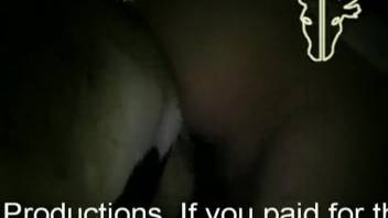 Filthy bestiality clips featuring a guy masturbating a pig's penis