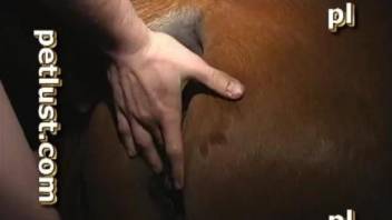 Farmer with long hairs and huge dick pounds his brown stallion from behind