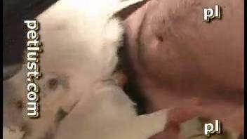 Man manually stimulates dog before brutally penetrating it