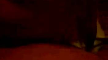 Guy thrusts his hard dick deep into the female dog's pussy