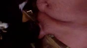 Guy allows young calf to sloppily lick his cock