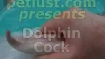 Submerged kink bestiality video of a man fingering a dolphin