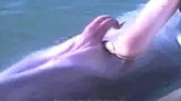 Guy finger-bangs dolphin during wild outdoor zoo romp