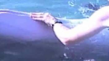 Man finger fucks dolphin in insane outdoor zoo play
