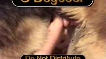 Ultra-perverted bestiality clip with intense close-up insertion shots