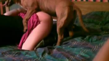 Adult zoophilia clip showcasing a round-ass hottie and a canine
