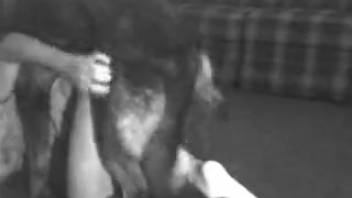 Homemade bestiality video of a nude wife delighting in the dog's penis
