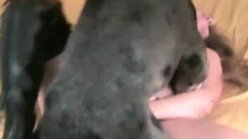 Erotic dream live on webcam featuring a hot lady and her dog