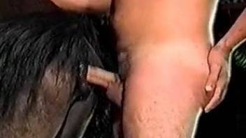 Man ass fucks horse in naughty zoophilia cam play at home