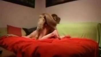 Rear-entry banging session with a depraved animal lover