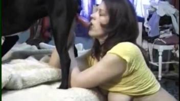 Raven-haired bitch with big boobs sucks a huge boner of a doggy