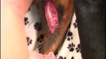 Slender woman experiences the full length of her dog's penis deep inside her pussy