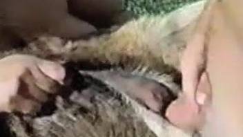 Outdoor zoophilia showing couple sharing furry animal
