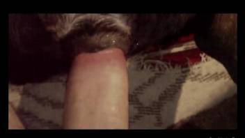 Dog's wet pussy basically swallows his cock in POV