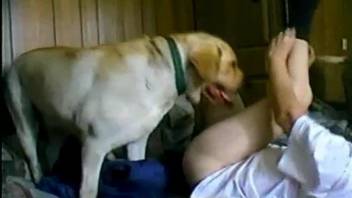 Dog licks and fucks mature owner's wet pussy until the bitch cums
