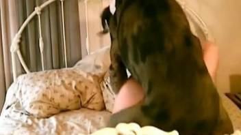 Spotted doggy and cheating wife fuck in the bedroom with love