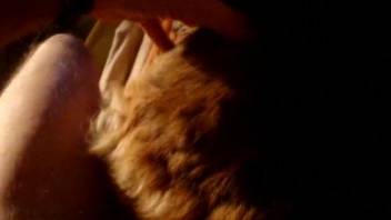 Late night animal sex with the furry dog during scenes of home xxx