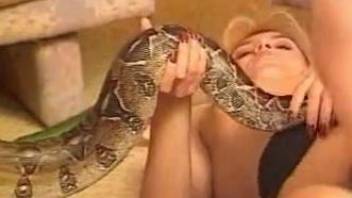 Two mature zoophiles team up for sex with a snake