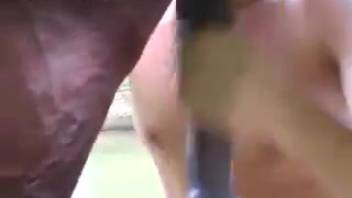 Aroused guy enjoys blowing the stallion's cock that way