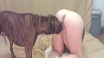 Zoophile bitch likes being fucked with dog's great cock