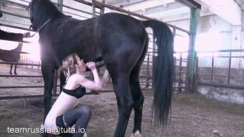 Hot mom impresses with her messy blowjob on a massive horse-like dick