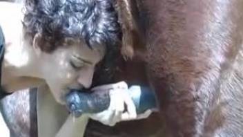 Short-haired babe enjoys sucking dripping-wet horse cock