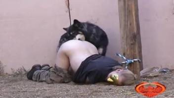 Blonde babe getting slammed by a black canine
